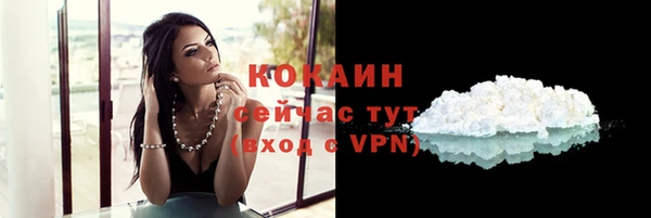 стаф Абдулино