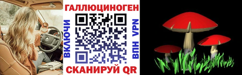 Псилоцибиновые грибы GOLDEN TEACHER  Иноземцево 